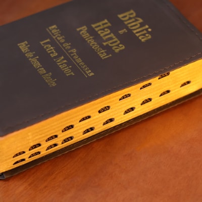 image_68ccde94-b03e-4d36-9f49-a46d05254a53