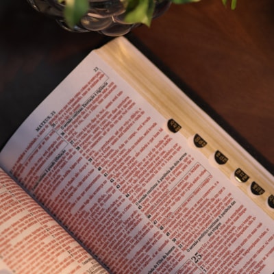 image_ac6f23dd-b2bc-47b9-b48f-35b0db252462