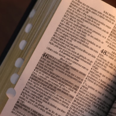 image_d9241433-74f9-4ccc-b090-37e20b4489ca