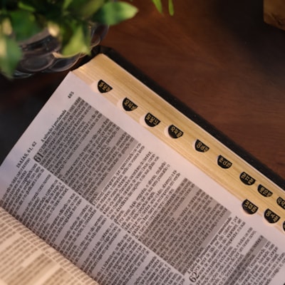 image_a3584ac3-49c5-4319-ac7b-ea81bab85872