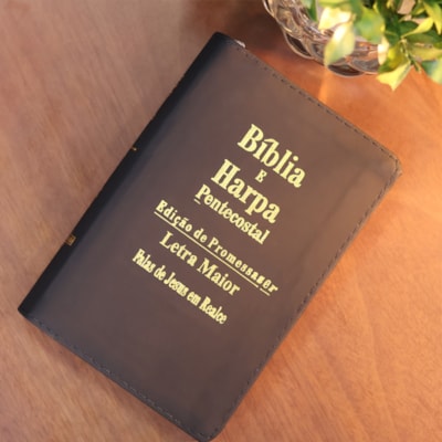 image_9693235b-9e19-4c47-b2ee-015d711ce2fd