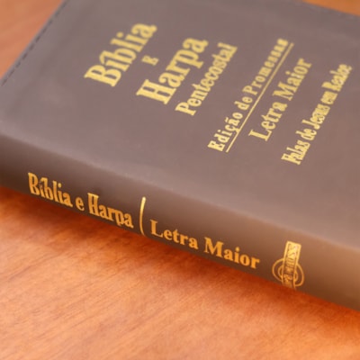 image_780f377a-7efc-4af2-b5e0-01eb93cf48a5