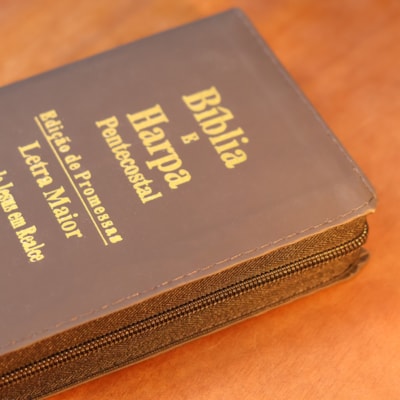 image_79c591ec-c356-4ee4-9382-9d1493794971