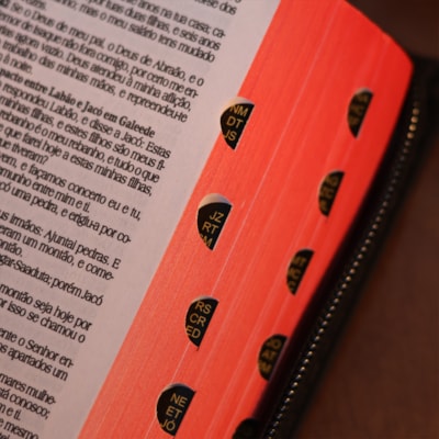 image_f7ae8af2-f1c9-4adf-8417-045584f2a8cb