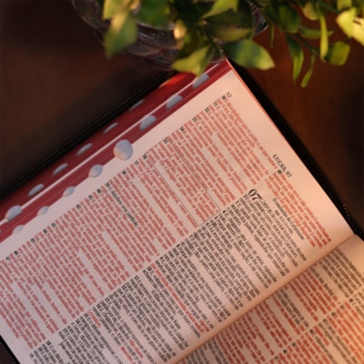 image_406ae1cf-ec01-4f0b-b91d-aff263bfd9b4