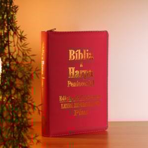 Segunda imagem do produto Bíblia e Harpa Pink | ARC | Letra Hipergigante Plus | Edição de Promessas | Com Índice e Zíper