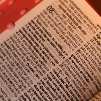 image_869c73f2-04c8-4c6b-be9a-2bbf20339a6d