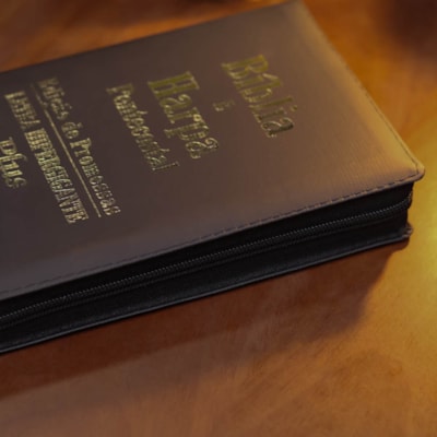 image_787a3472-925f-4141-ba83-d9daa41e49ad