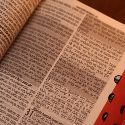 image_8f8f9348-7482-467b-ac06-6aa4e4f97cbf