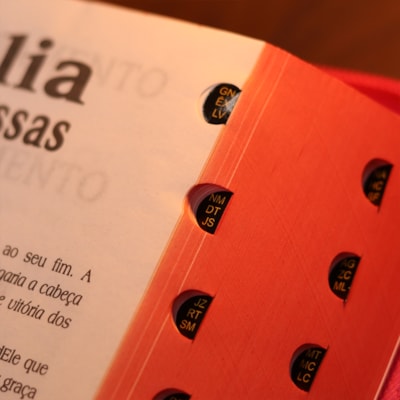 image_cae535a5-a5fc-4045-b6dc-dfd476e24a1a