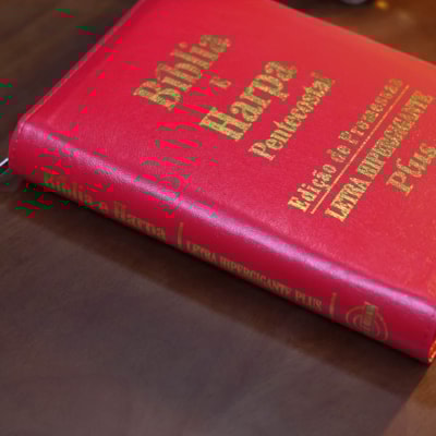 image_63dc29bf-7c4d-4275-a865-e8c9e8167be0