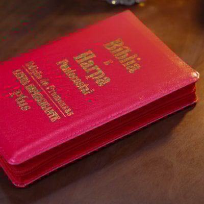 image_7fb45837-de54-4417-bb9d-3ff59c8fe863