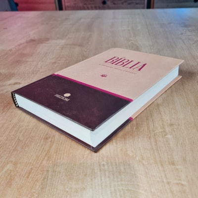 image_a42afda3-f1a2-4c27-9e2f-3cd4a12f058f