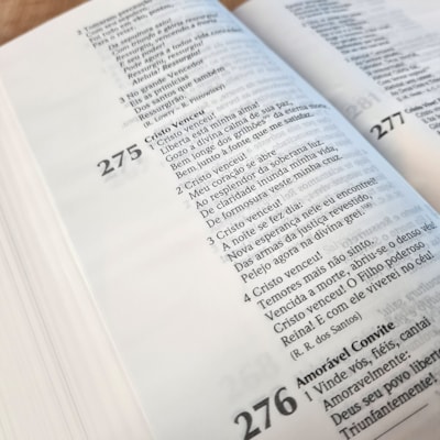 image_6a2bc466-40b1-4cc3-832e-d442adfb1cdd