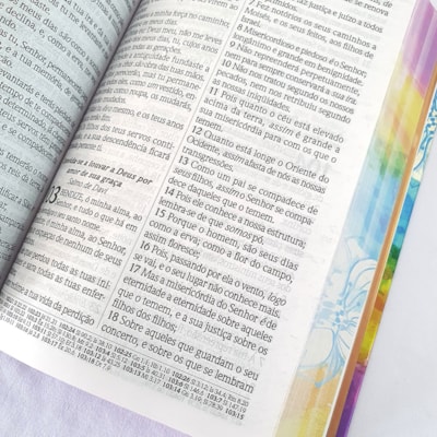 image_1a305027-0e0d-431c-89fa-a8a502875044