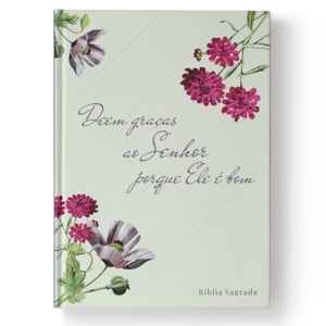 Bíblia Ele é Bom | NAA | Letra Normal | Capa Dura