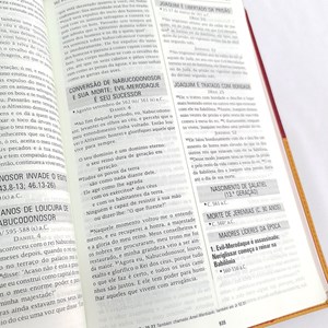 Bíblia em Ordem Cronológica | NVI Letra Normal | Capa Luxo Vermelho / Mostarda
