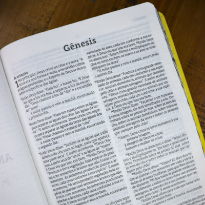 image_3c552396-a7db-4dea-a0ac-992e0b0ffe2e