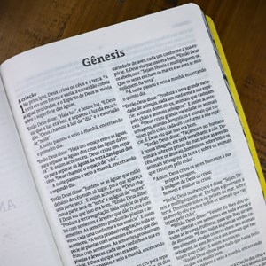 Bìblia Especial Asas | NVT | Letra Normal | Capa Dura