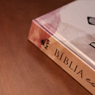 image_b9d81bd9-e732-4d04-8fae-7fb327c33879