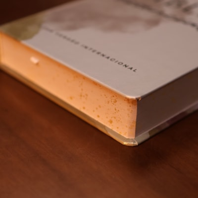 image_ba2a351a-eba4-4bce-8f7c-b081a7aa7de8