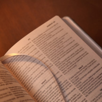 image_f01e43c3-a760-4a24-a789-fc297a367c9a