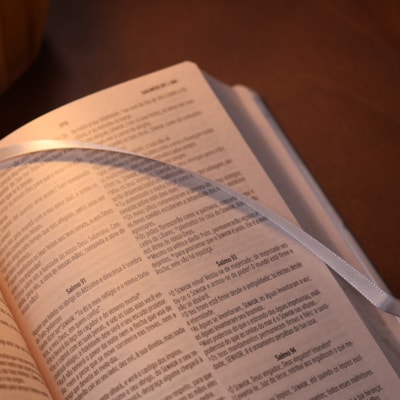 image_6e367549-e3df-4278-ab7c-0a1bb4749c08