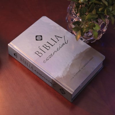 image_bc9afe0e-e954-4250-ace3-2e6c50dd53e6