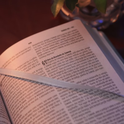 image_52ce8fb7-4e0d-493a-aa3f-26193b1da57b