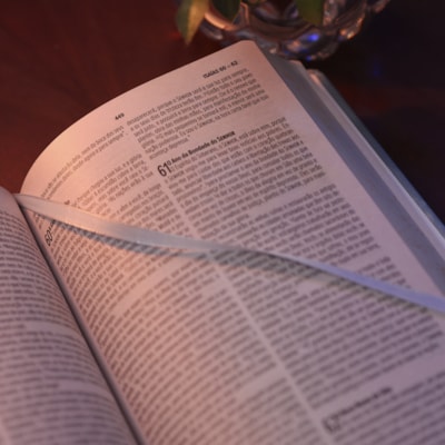 image_a0941f3d-df29-47d5-8faf-12121c689f96