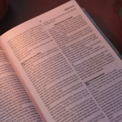 image_e6d44047-1097-4301-8670-a644a3279fcc