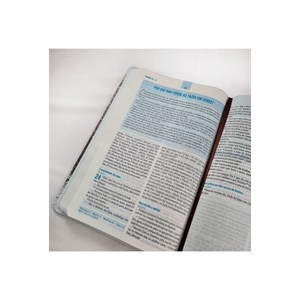 Bíblia Essencial | NAA | Letra Normal | Capa Dura Pegadas