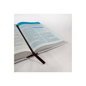 Bíblia Essencial | NAA | Letra Normal | Capa Dura Pegadas
