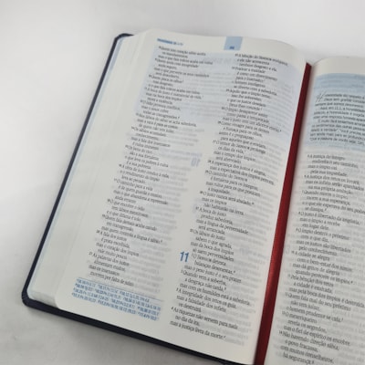 image_90500320-f040-481e-a5d9-1e11094a970b