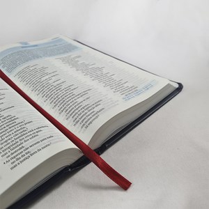 Bíblia Essencial | NAA | Letra Normal | Capa Dura Ticket