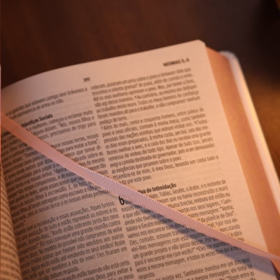 image_8abb537b-c6d8-4bca-9b50-71e84e5ac428