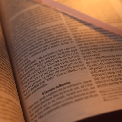 image_6d3ea493-167f-45b5-b175-c15289673bd9