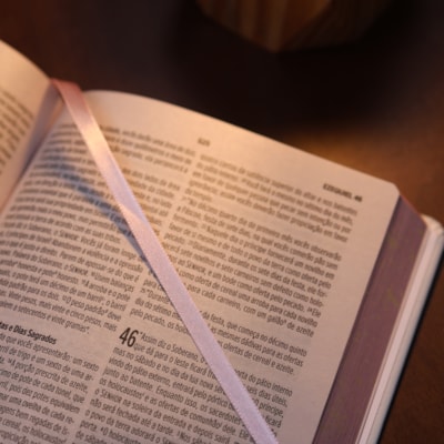 image_6cd49f55-728d-42c1-8b12-cf6657212e0e