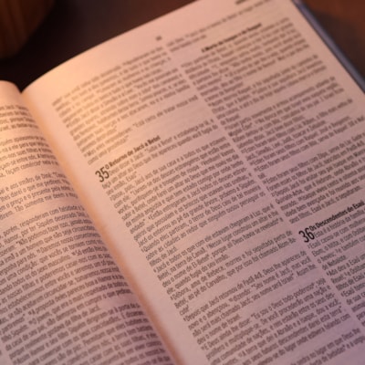 image_c07d1da2-dd05-47ef-8faa-78e06f5ef724