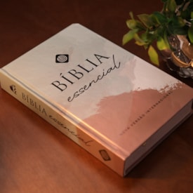 Segunda imagem do produto Bíblia Essencial Salmão | NVI | Capa Dura