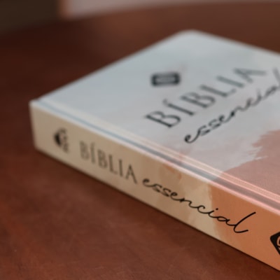 image_97965880-f3ca-4efc-938b-e95f7cc81ee1