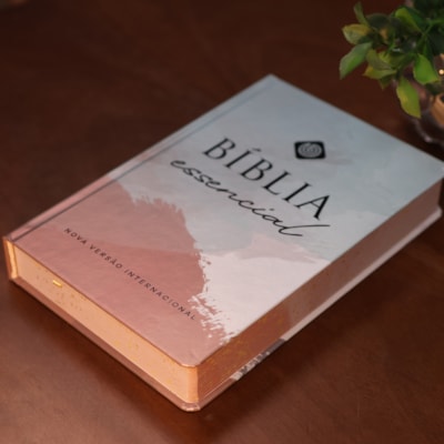 image_020489dc-7f7d-4186-ba4c-2d12d381f53d