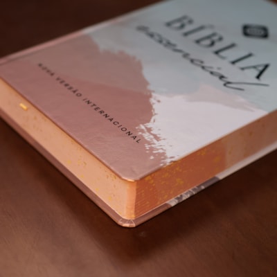 image_a80adb87-6fae-484b-8387-24d01a17e121