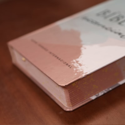 image_a5d3bf20-5ce4-412d-a438-f541160acf9b