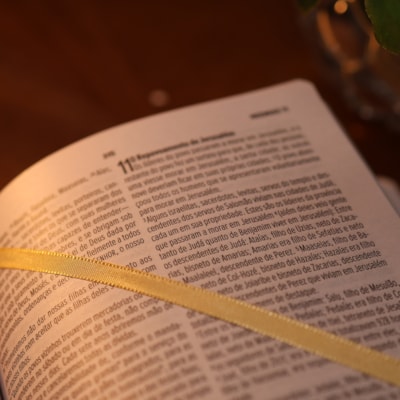 image_7248aa07-4b55-487a-8c9b-59e1c4e77cad