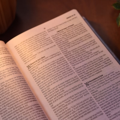 image_2f626f51-dd0c-427c-9119-2719a2dd22ba