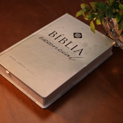 image_c1169a69-7580-42c5-9bd3-1048358a16ce