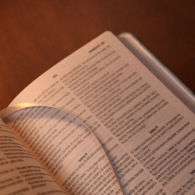 image_31141114-8834-4782-89a8-7f719435c2cf