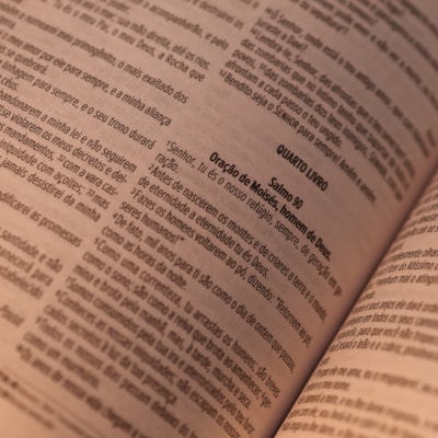 image_6186322f-7588-484f-b73b-df729f72ef3f