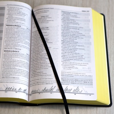 image_a6e3fad7-dbd7-4fe5-88d3-8aac48c7eb4a